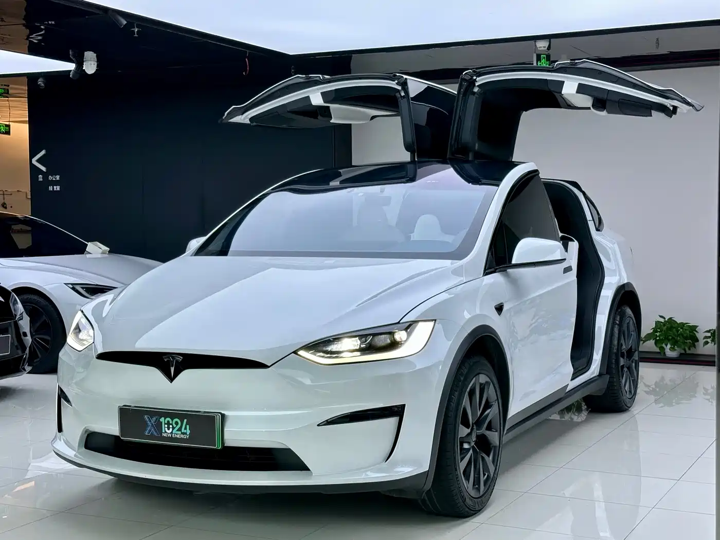 2023 Tesla Model X