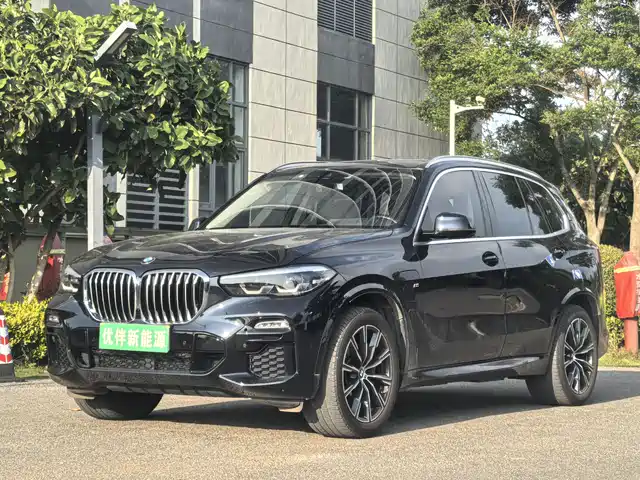 bmw x5-new-energy-(imported)