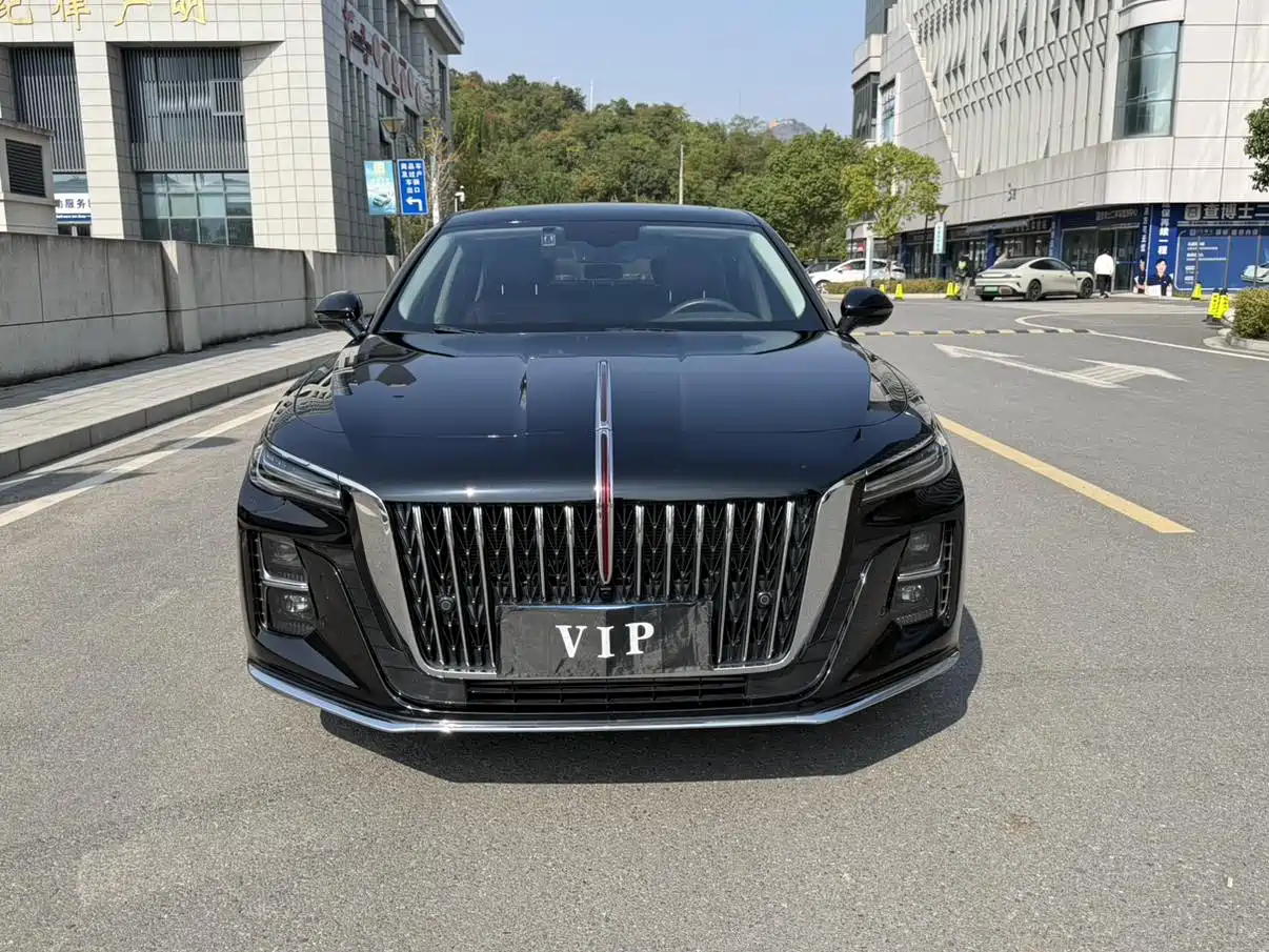 Hongqi H5 2024 2.0T Automatic Smart Connect Flag Smooth Edition фото 3