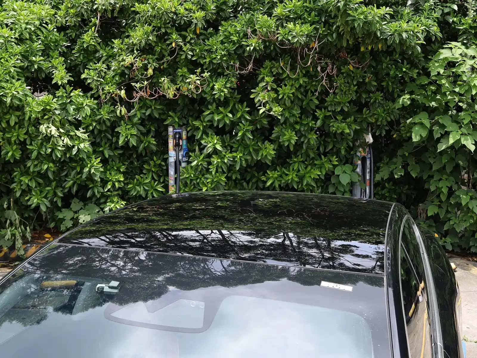 Фото 20 - XPeng P7