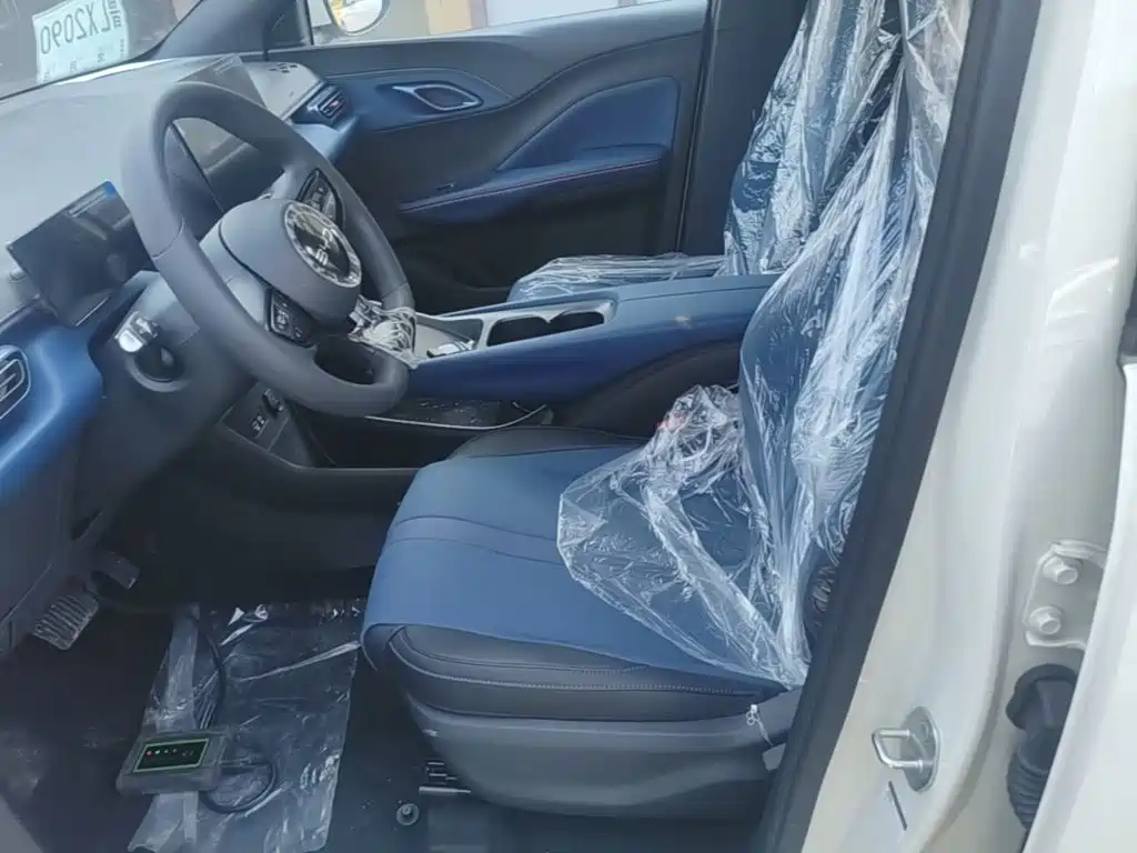 صورة 15 - BYD Seagull