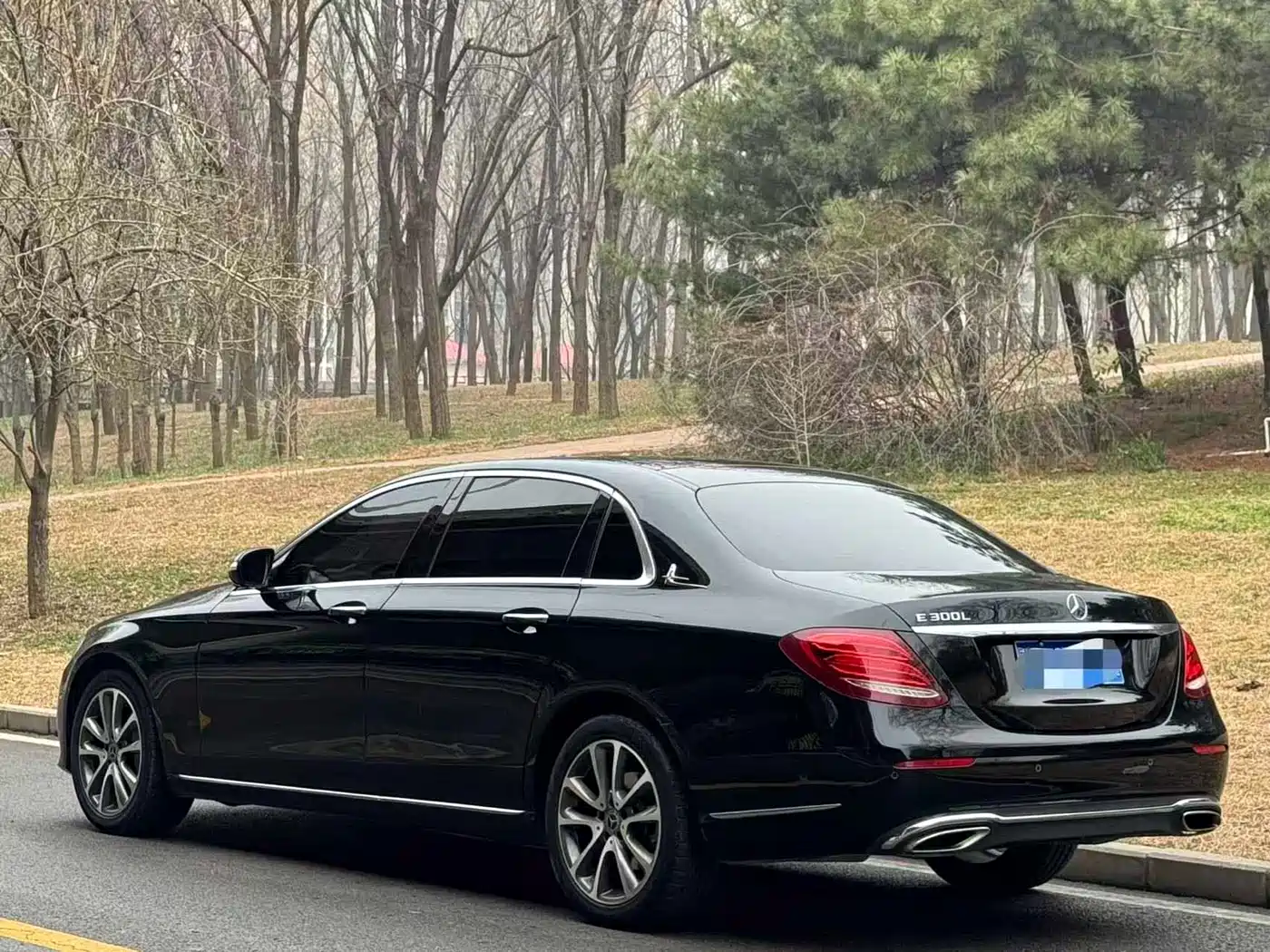 Mercedes-Benz E-Class 2018 Facelift E 300 L Luxury фото 4