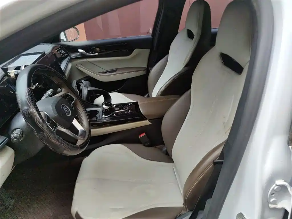 BYD Qin PLUS 2023 Champion Edition DM-i 55KM Leading фото 8