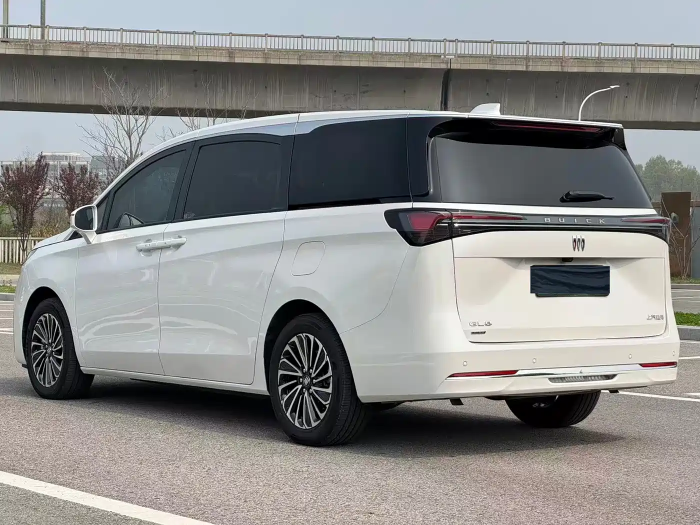 BUICK GL8 NEW ENERGY