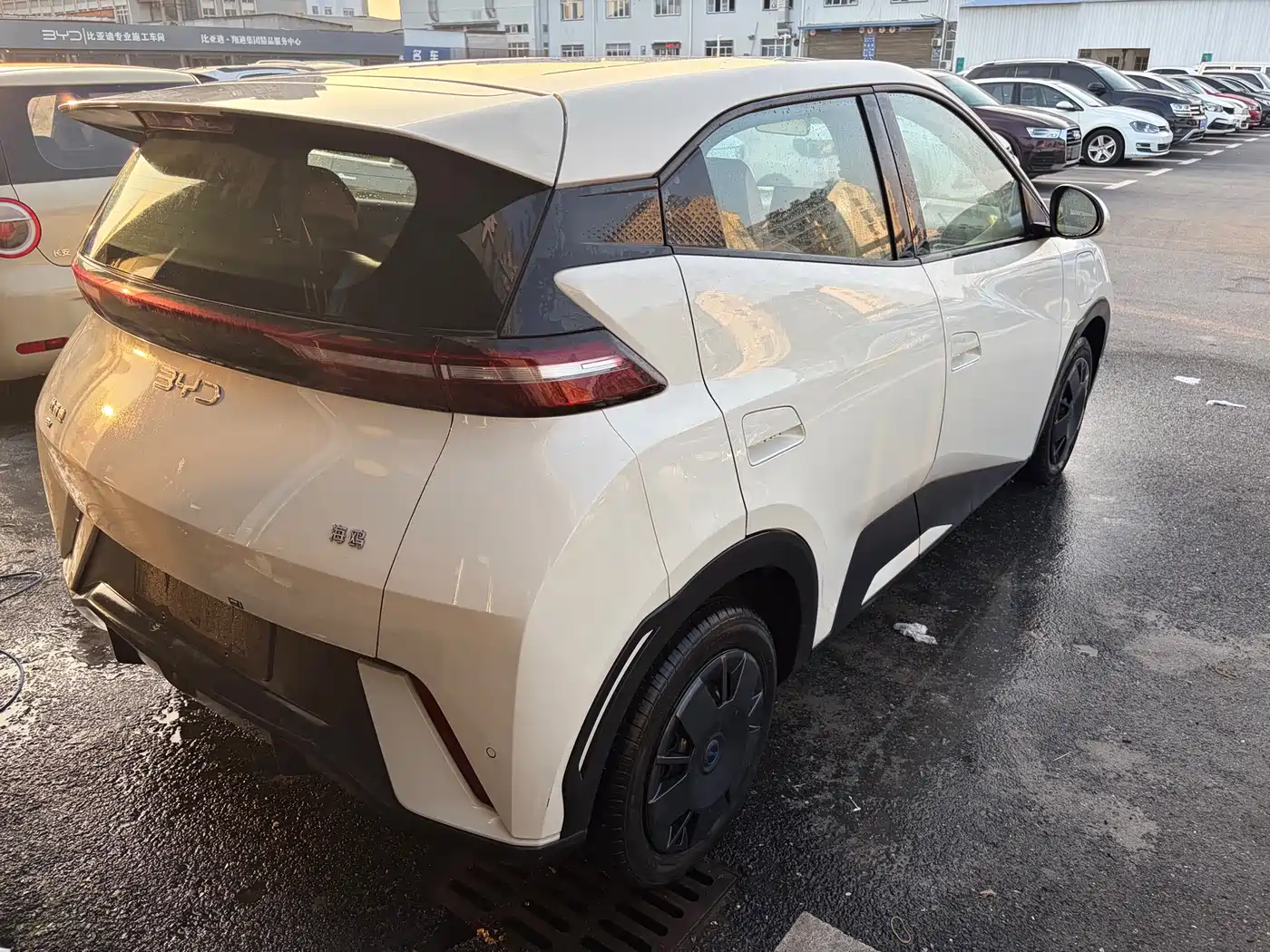 BYD Seagull 2024 Glory Edition 305km Vitality Edition фото 5