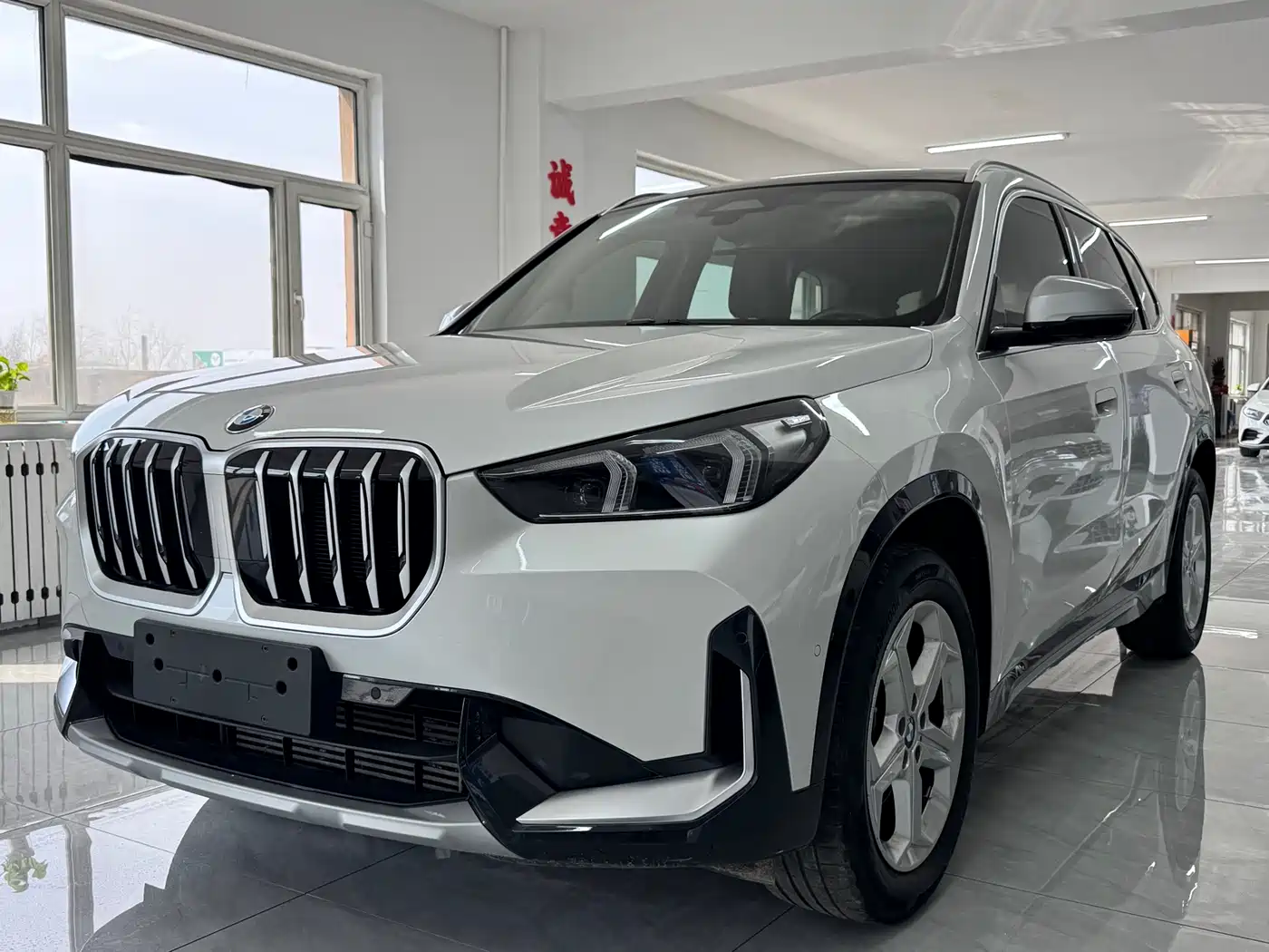 BMW X1 2023 sDrive20Li X Design Package