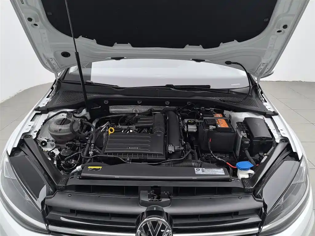 Volkswagen Golf 2020 Beloved Edition 280TSI DSG Luxury фото 6