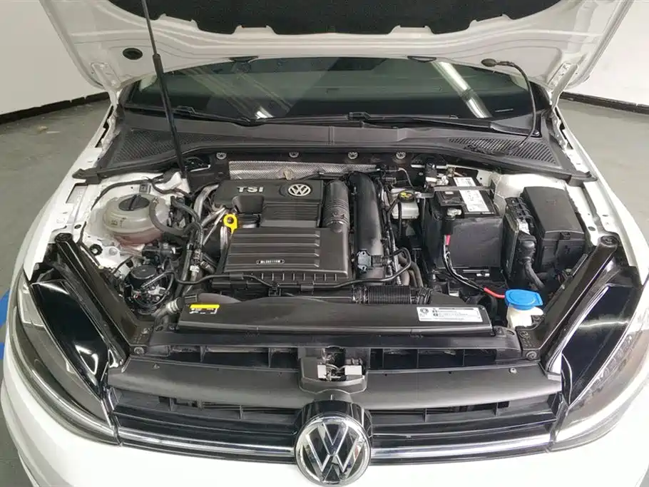 Volkswagen Golf 2019 200TSI DSG Comfort Progressive China VI фото 10