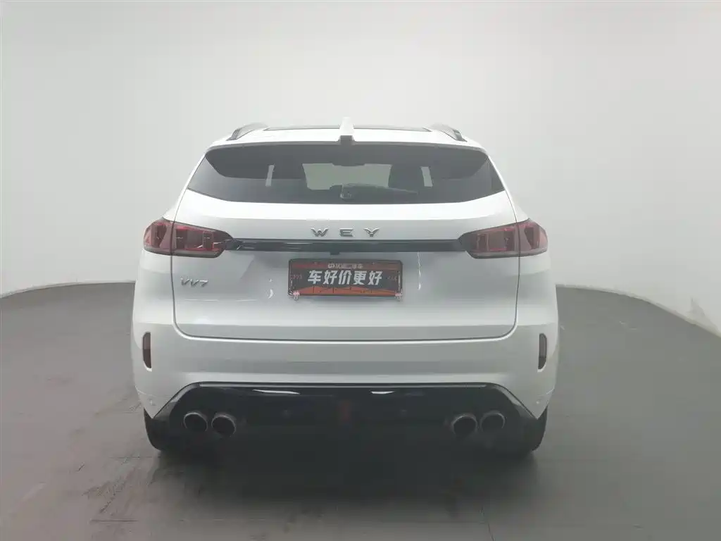 WEI PAI WEI BRAND VV7