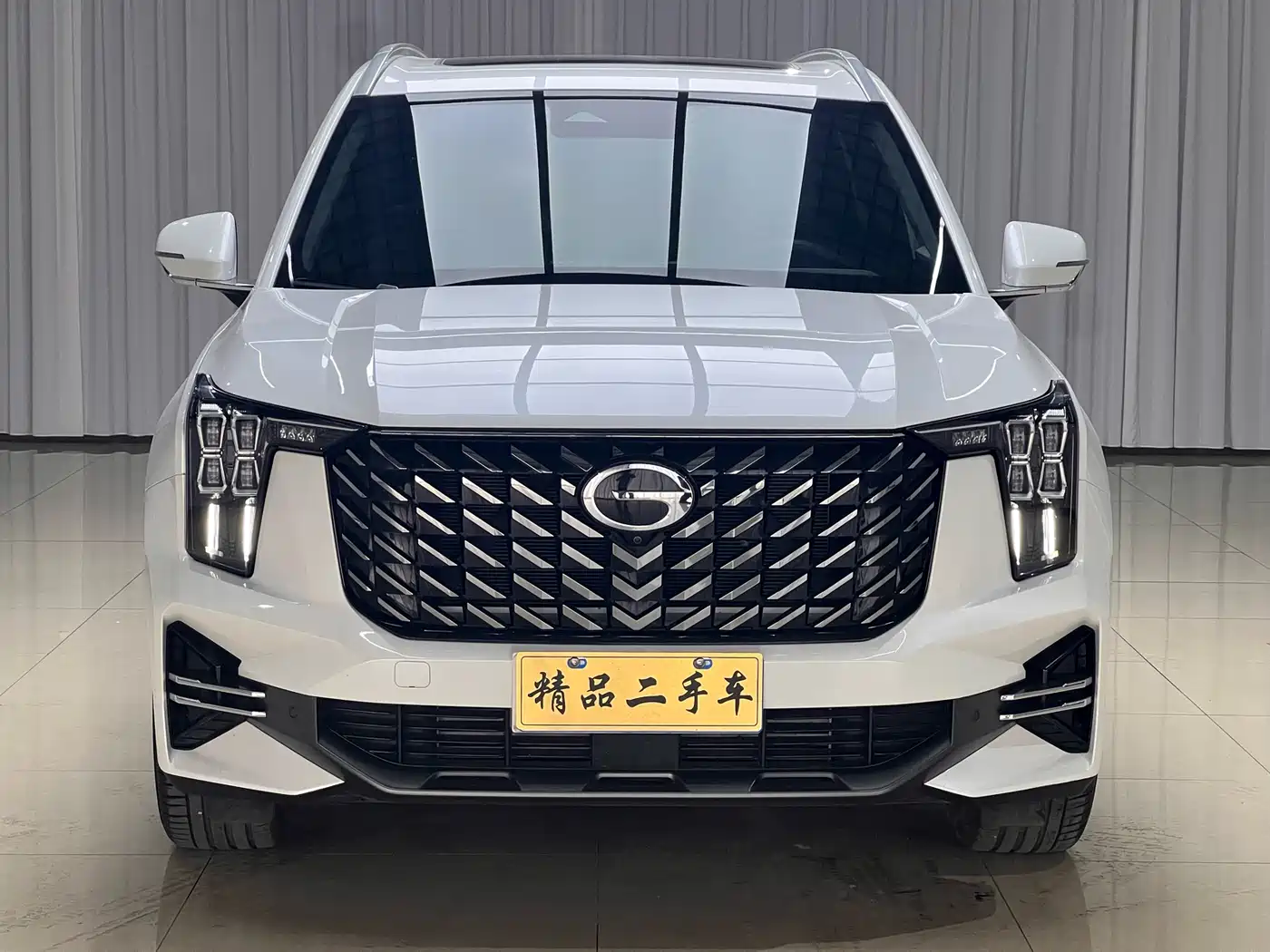 GAC Trumpchi Trumpchi GS8 2024 Navigator Series 2.0TGDI 2WD Luxury Smart Connect Edition фото 2
