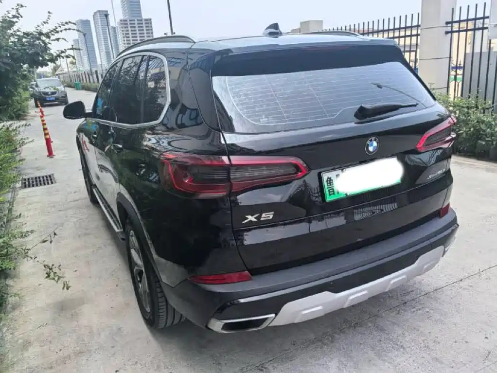 BMW X5 New Energy(Imported) 2023 2020 xDrive45e M Sport Package