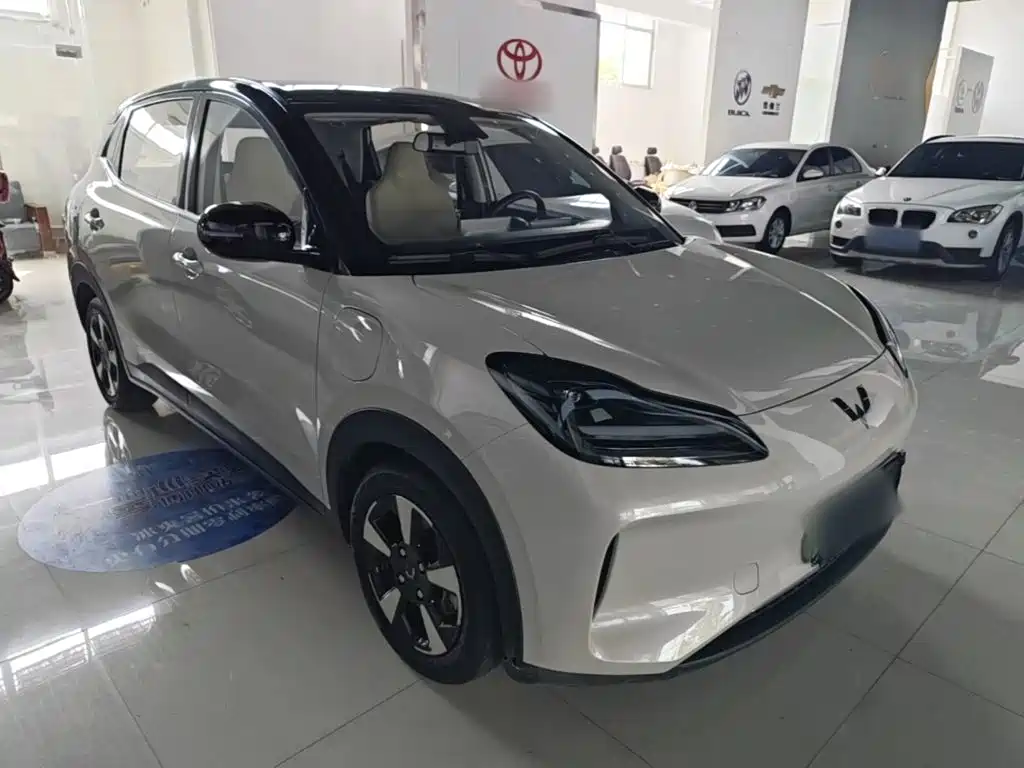 Wuling Motors Wuling Binguo PLUS 2025 2024 Model 330km 5-Seater