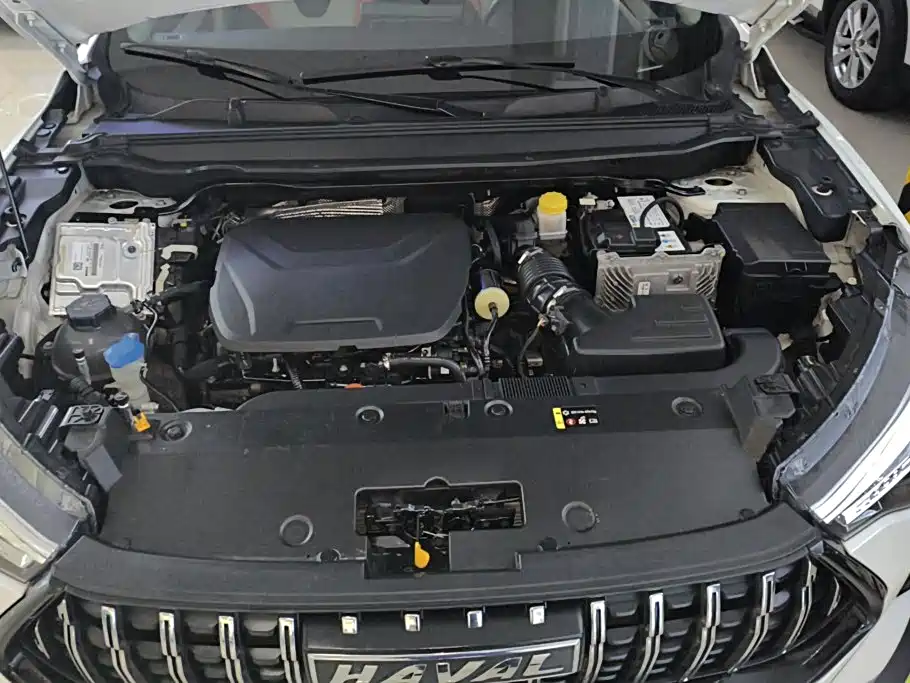 Haval Chitu 2021 2021 1.5T Silver Rabbit Turbo Edition