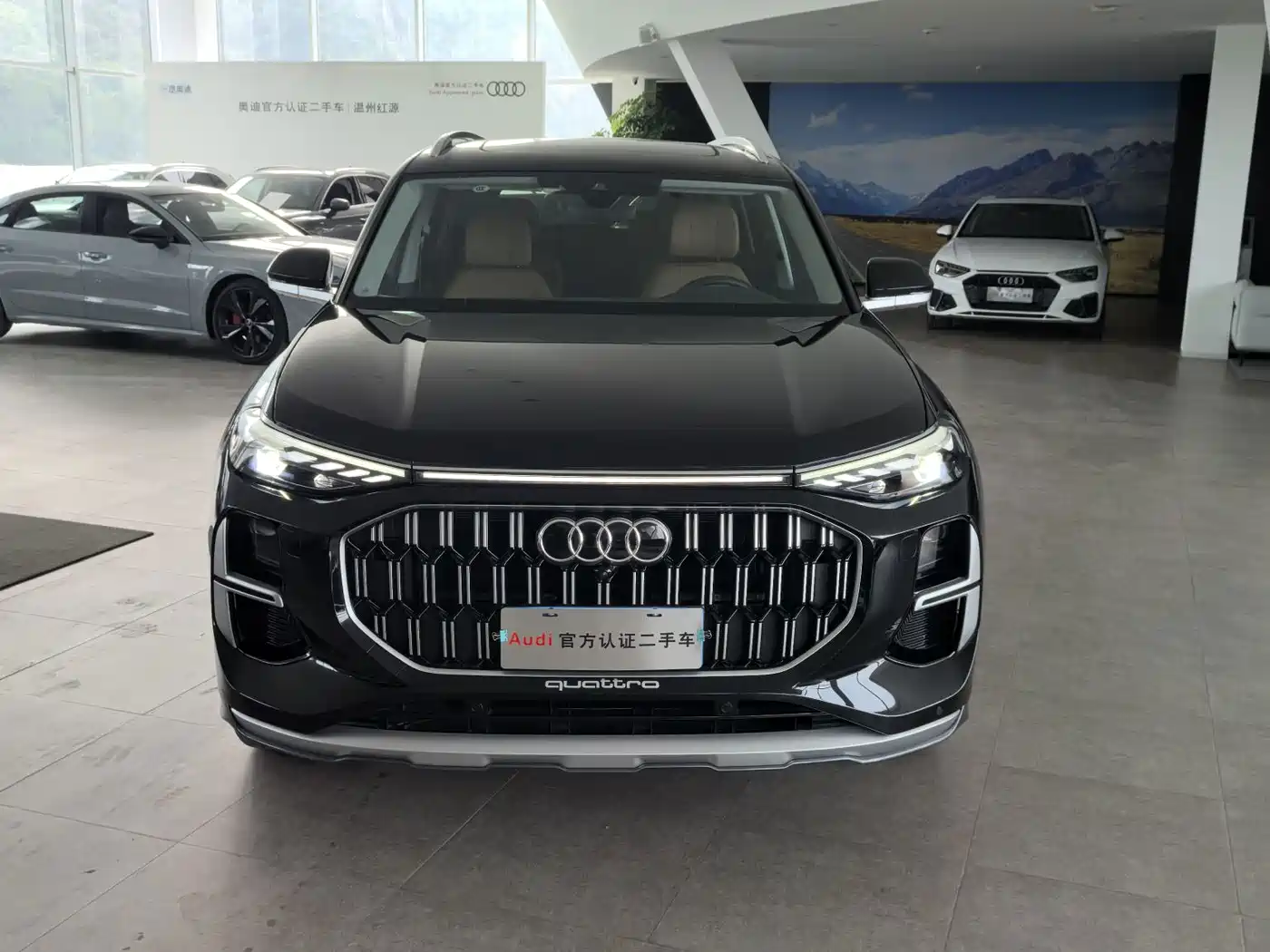 2025 Audi Q6