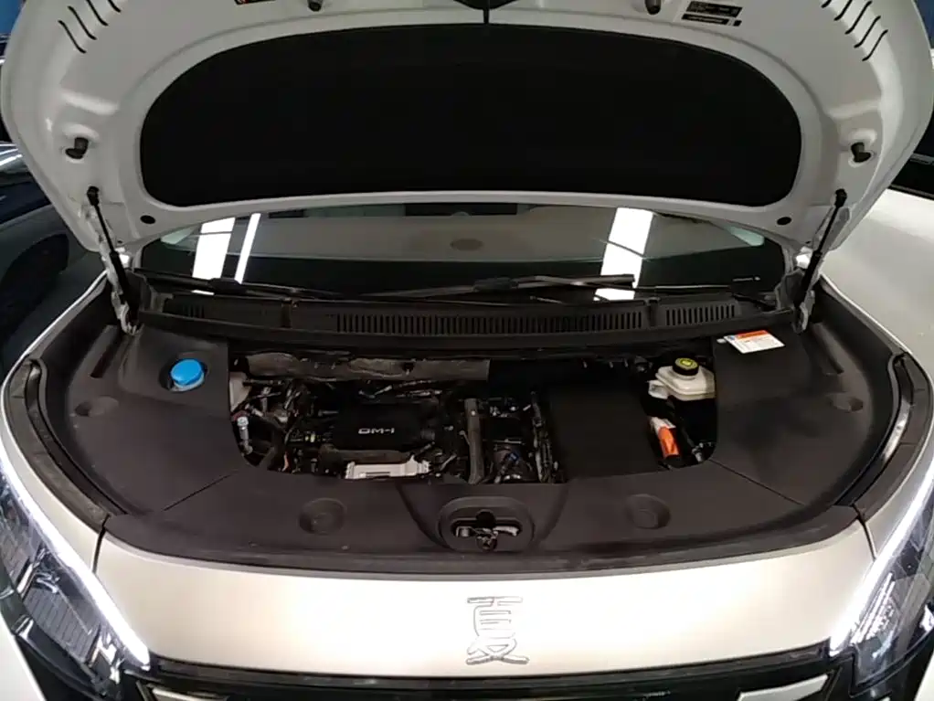 BYD Xia 2025 2025 DM-i 1.5T 180km Surpass Edition