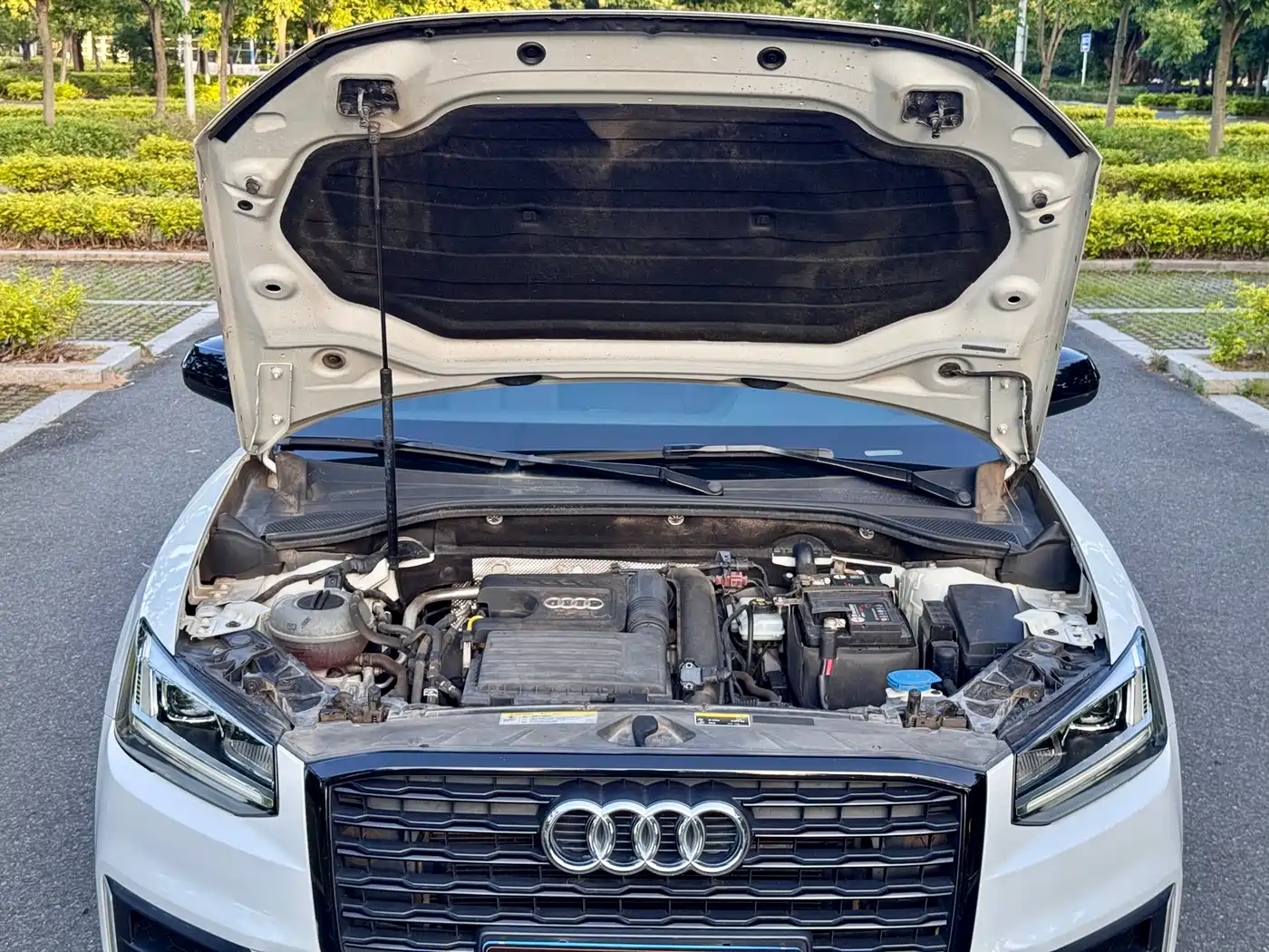 Audi Q2L 2018 35 TFSI Launch Exclusive Edition China VI фото 23