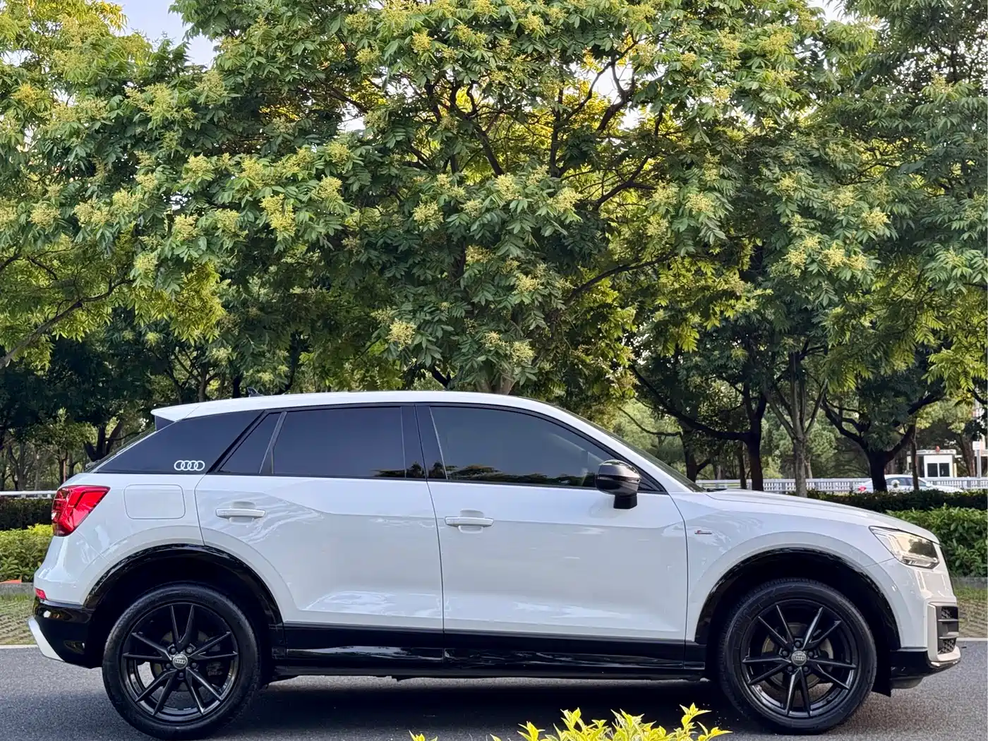 Audi Q2L 2018 35 TFSI Launch Exclusive Edition China VI фото 16