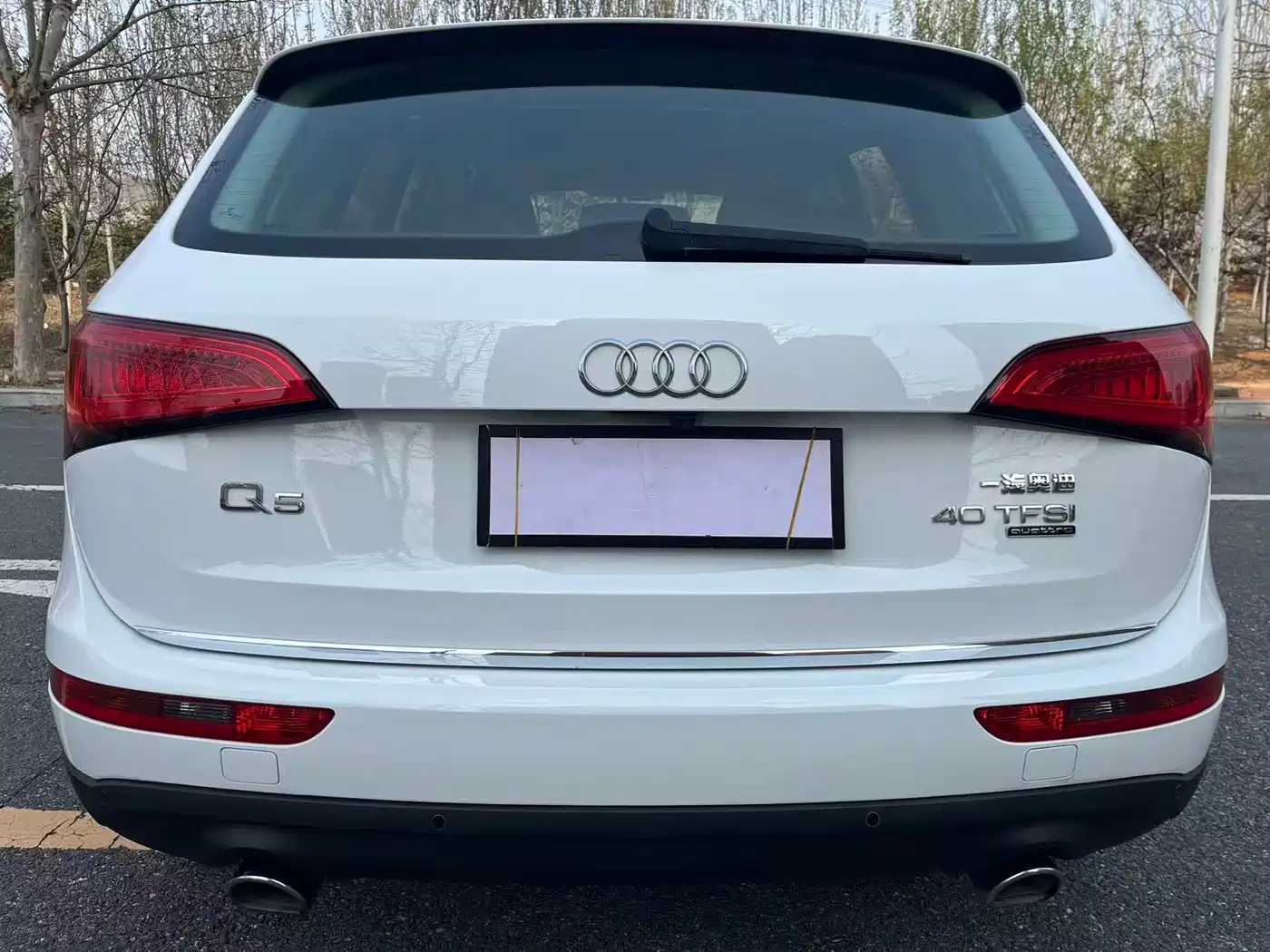 Audi Q5 2016 40 TFSI Progressive Model фото 5