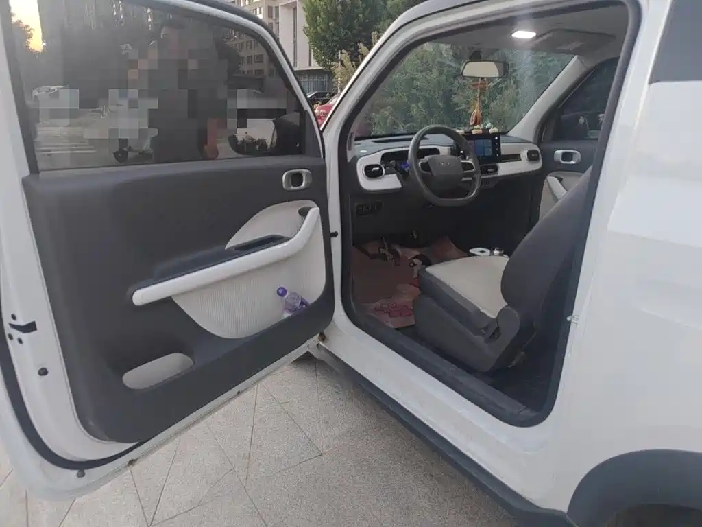 Geely Galaxy Panda 2025 2025 Model Year 210km Panda Kart