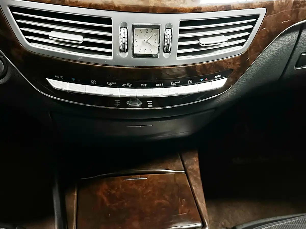 Mercedes-Benz S-Class 2010 S 300 L Luxury фото 9