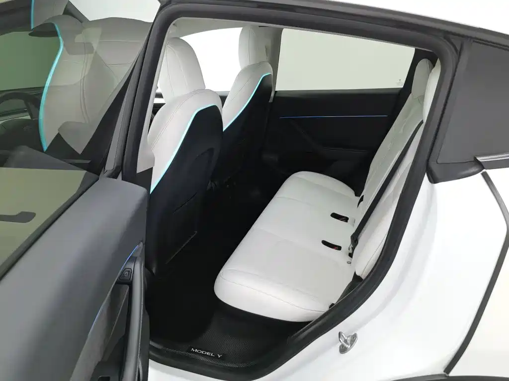 Tesla Model Y 2021 2021 Performance High-Performance AWD