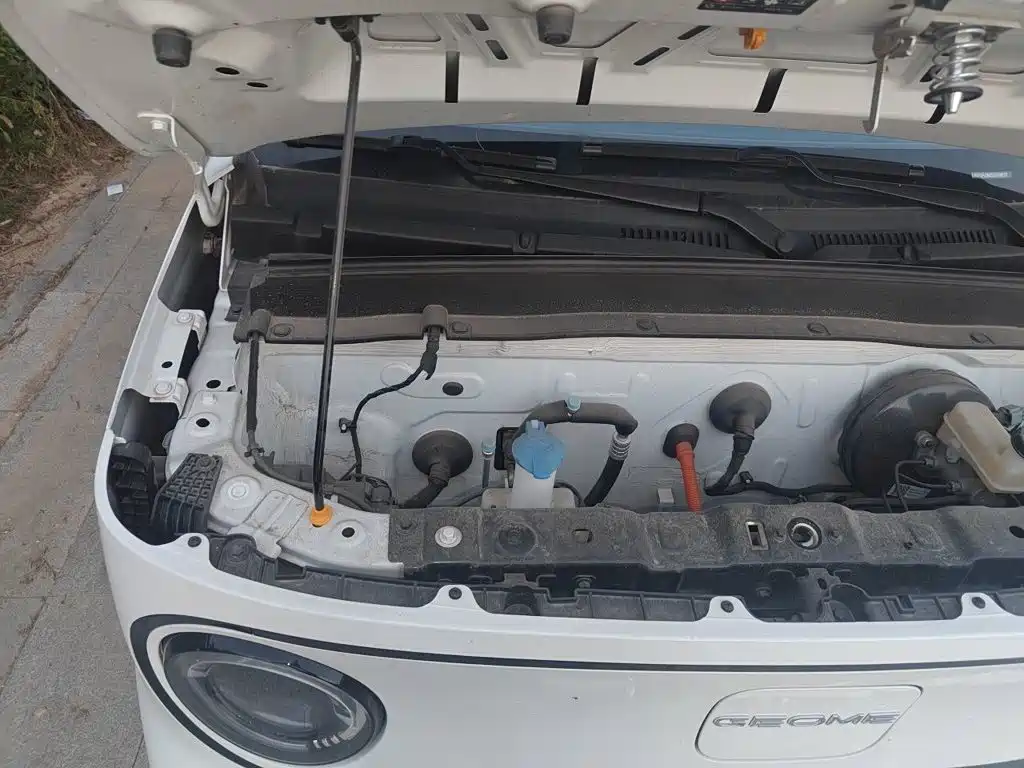 Geely Galaxy Panda 2025 2025 Model Year 210km Panda Kart