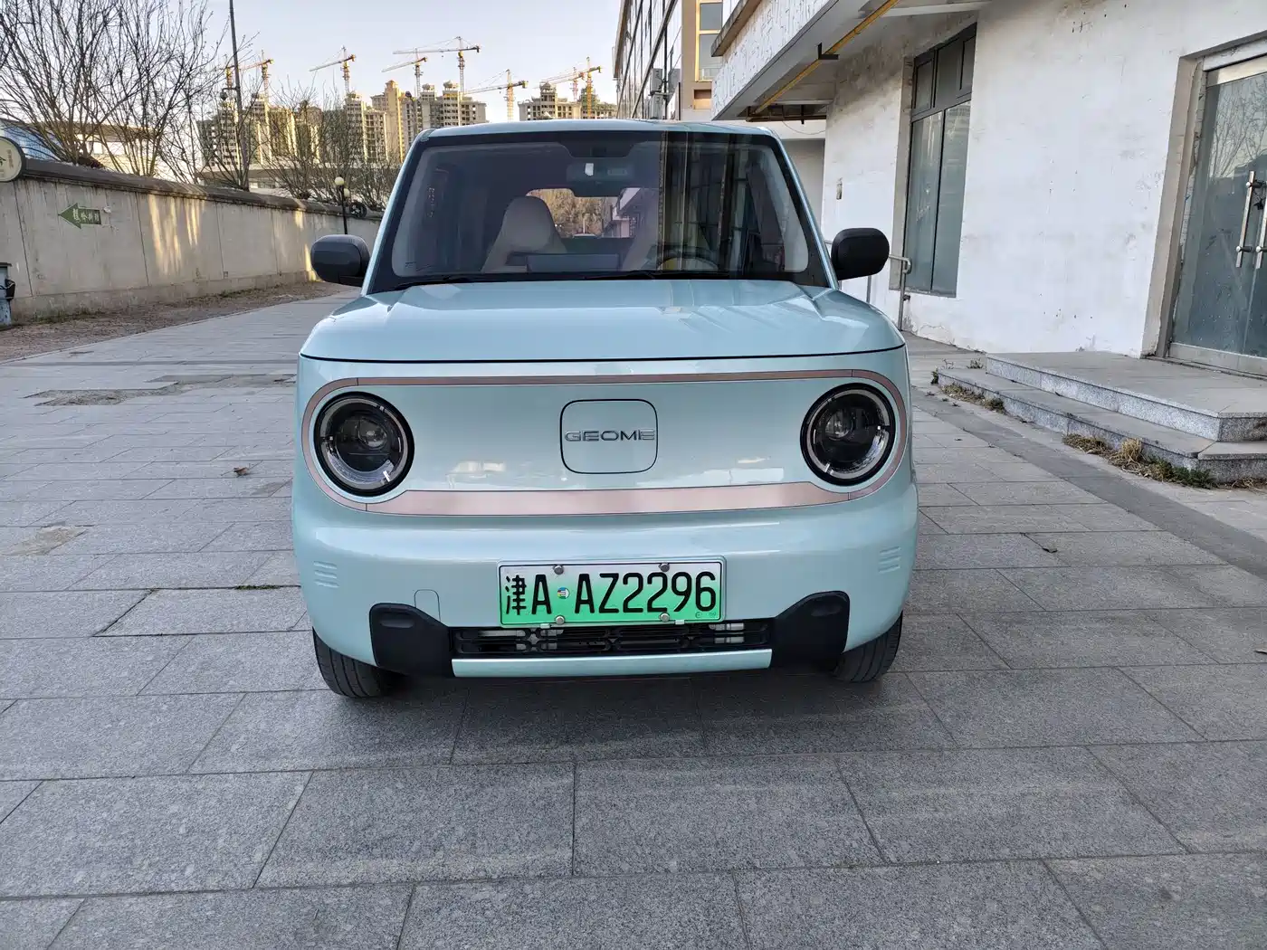 Geely Galaxy Panda 2023 Panda Mini 200km Endurance Bear