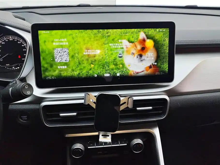 GEELY AUTOMOBILE BINYUE