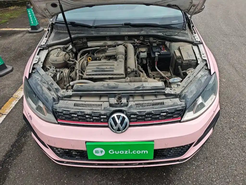 صورة 20 - Volkswagen Golf