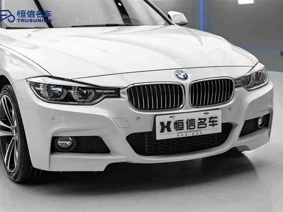 BMW 3 Series 2019 320Li M Sport Package фото 9