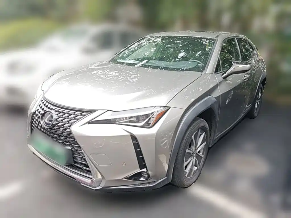 Lexus UX Electric 2021 2020 300e Pure Yue Edition