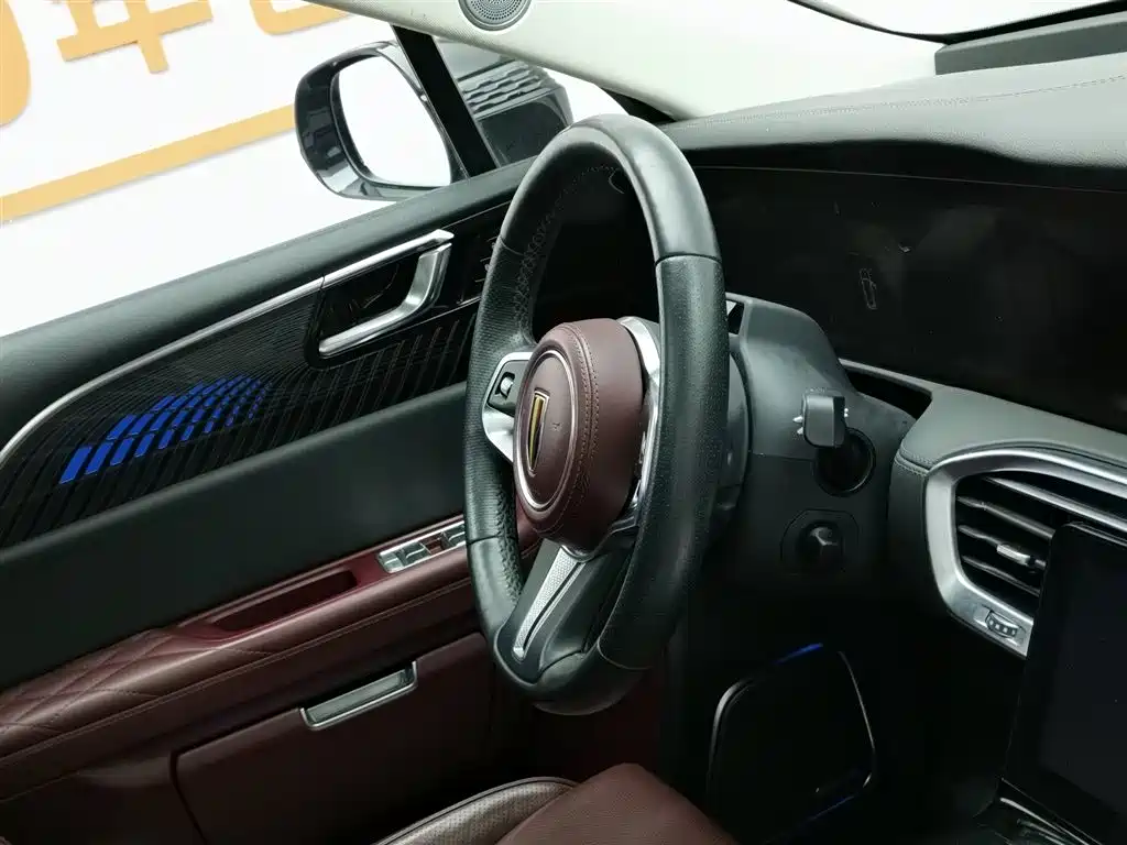 Hongqi E-HS9 2021 510km Flagship Comfort 6-seater фото 22