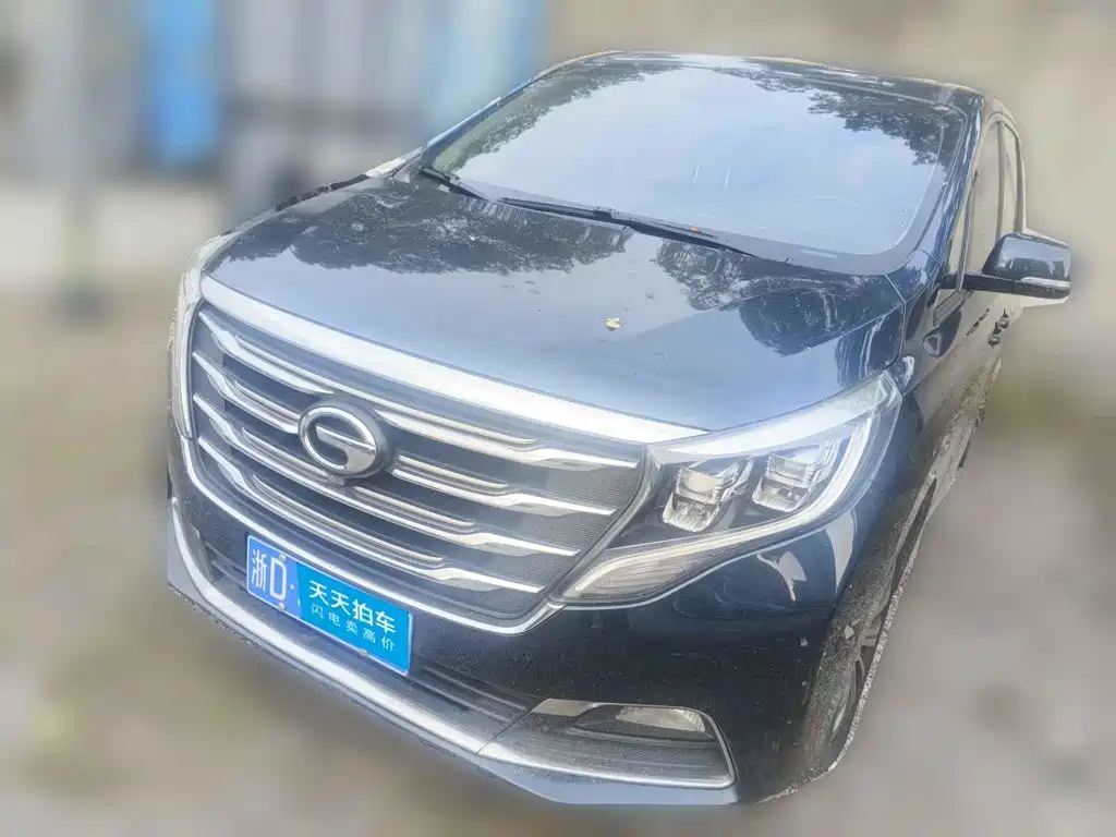 GAC Trumpchi Trumpchi M8 2020 — пригон из Китая
