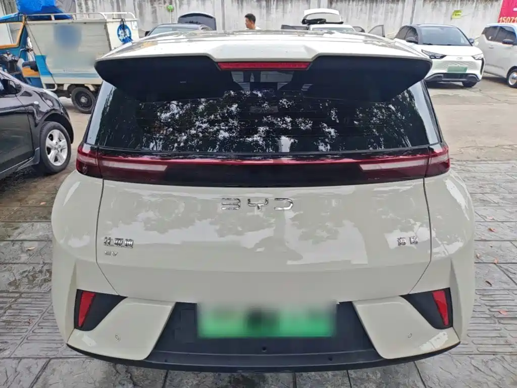Photo 6 - BYD Seagull
