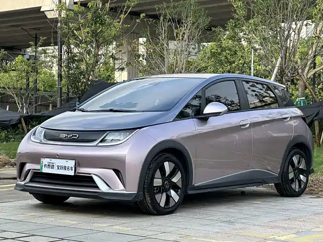 BYD Dolphin 401km, Knight