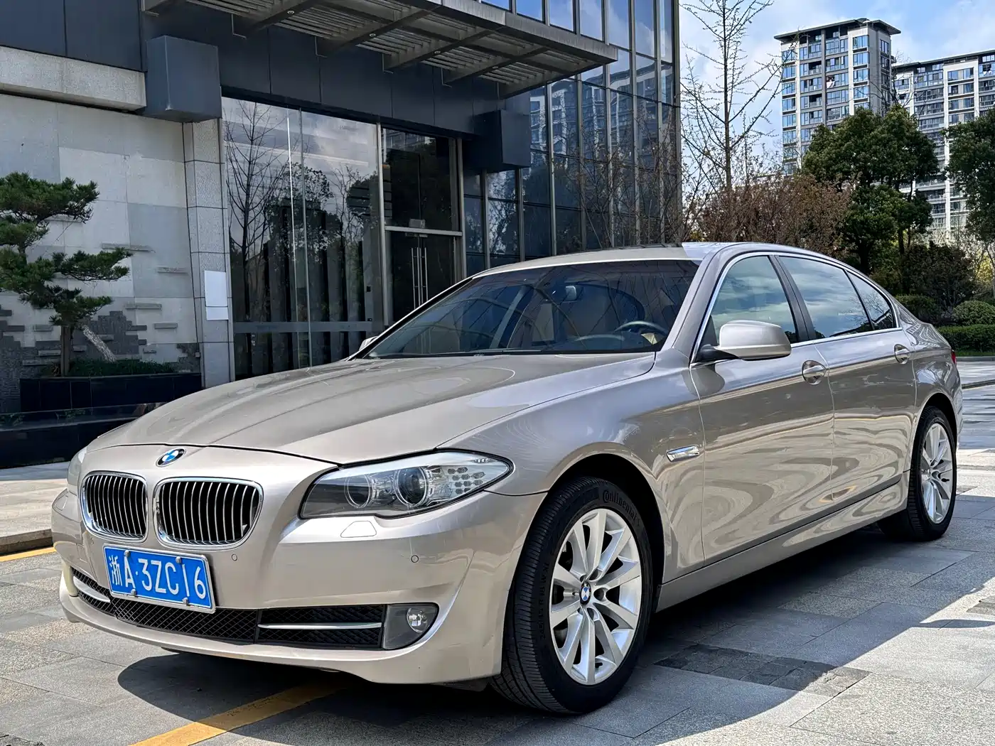 BMW 5 Series 2013 530Li Leadership