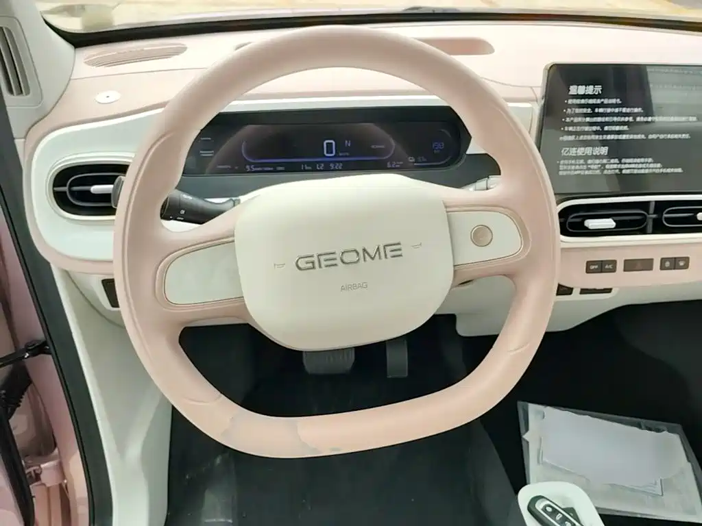 Geely Galaxy Panda 2026 2025 Panda mini 210km Vitality Bear