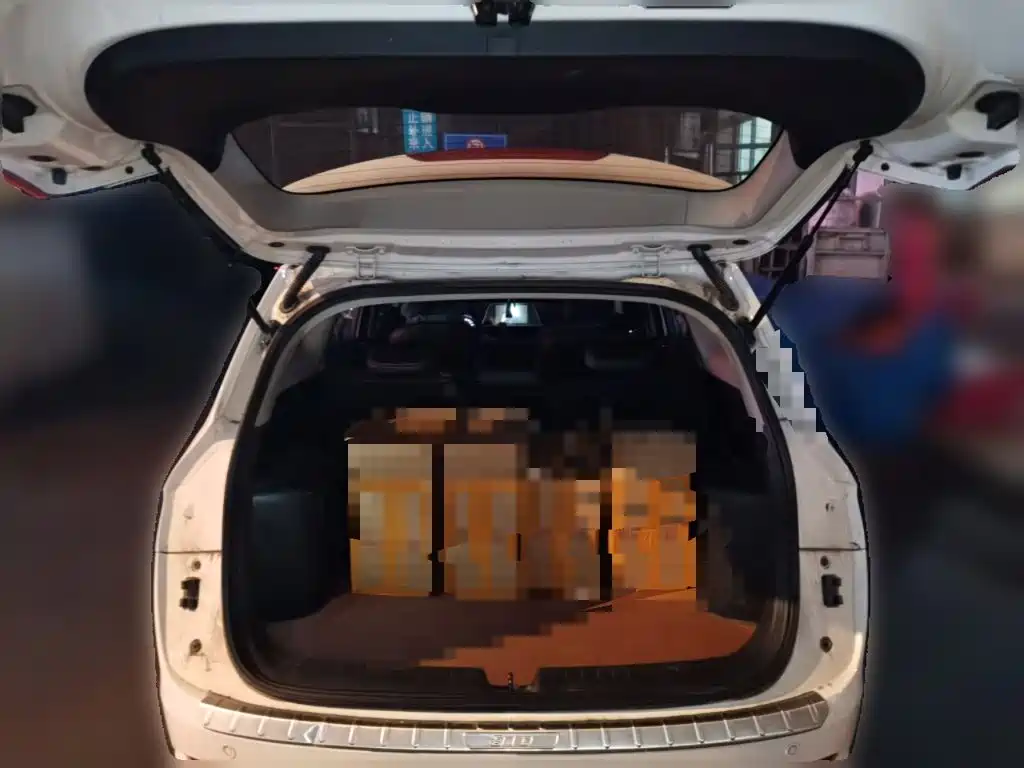 Baojun 310W 2020 2018 1.5L Automatic Luxury China VI