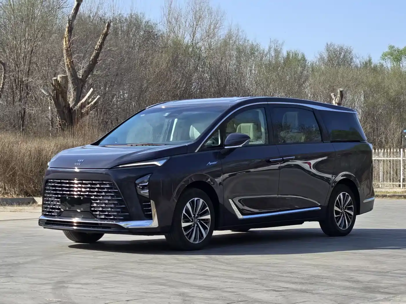 BUICK GL8 NEW ENERGY