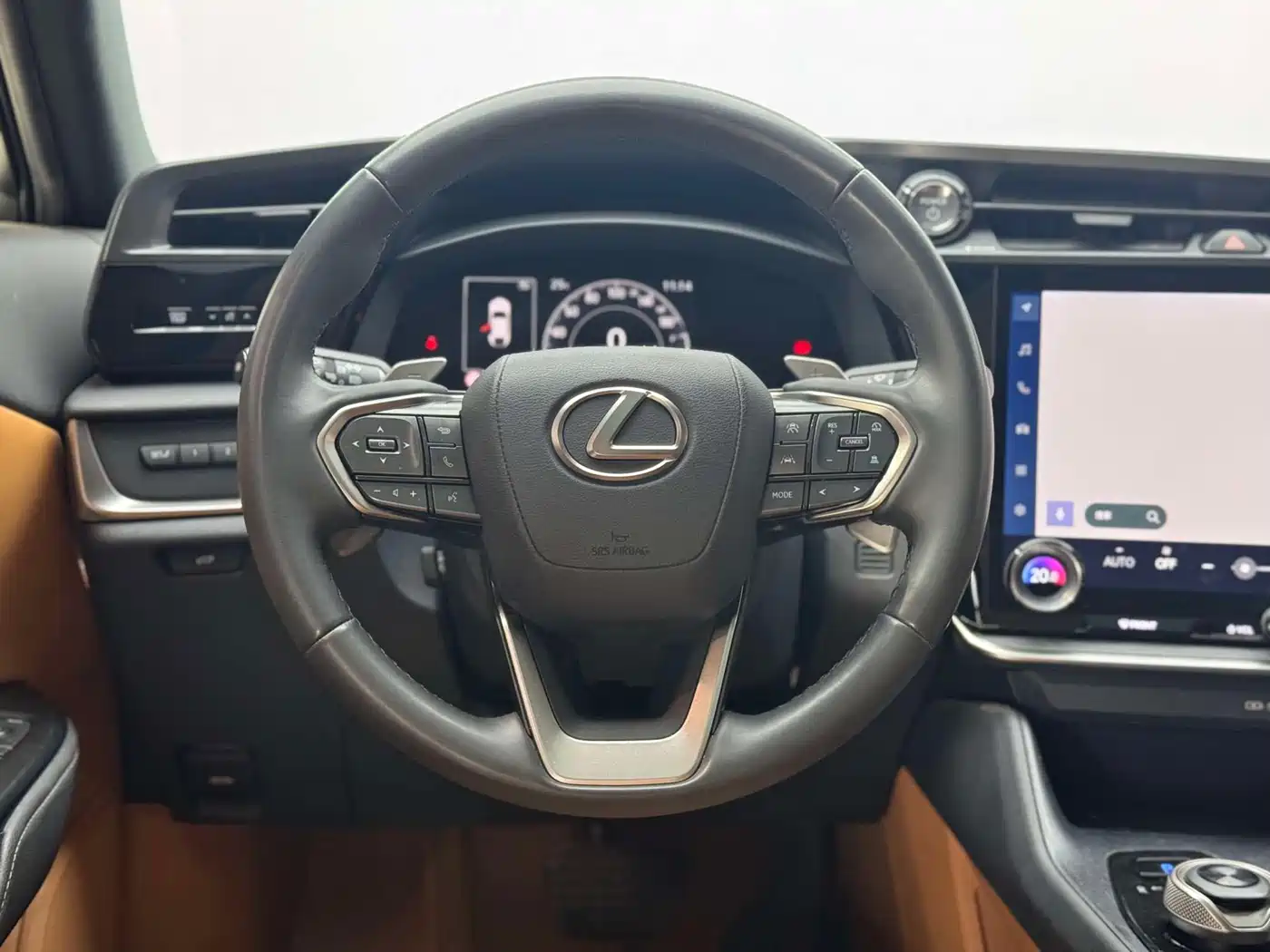 Lexus RZ 2023 450e 4WD Deluxe фото 10