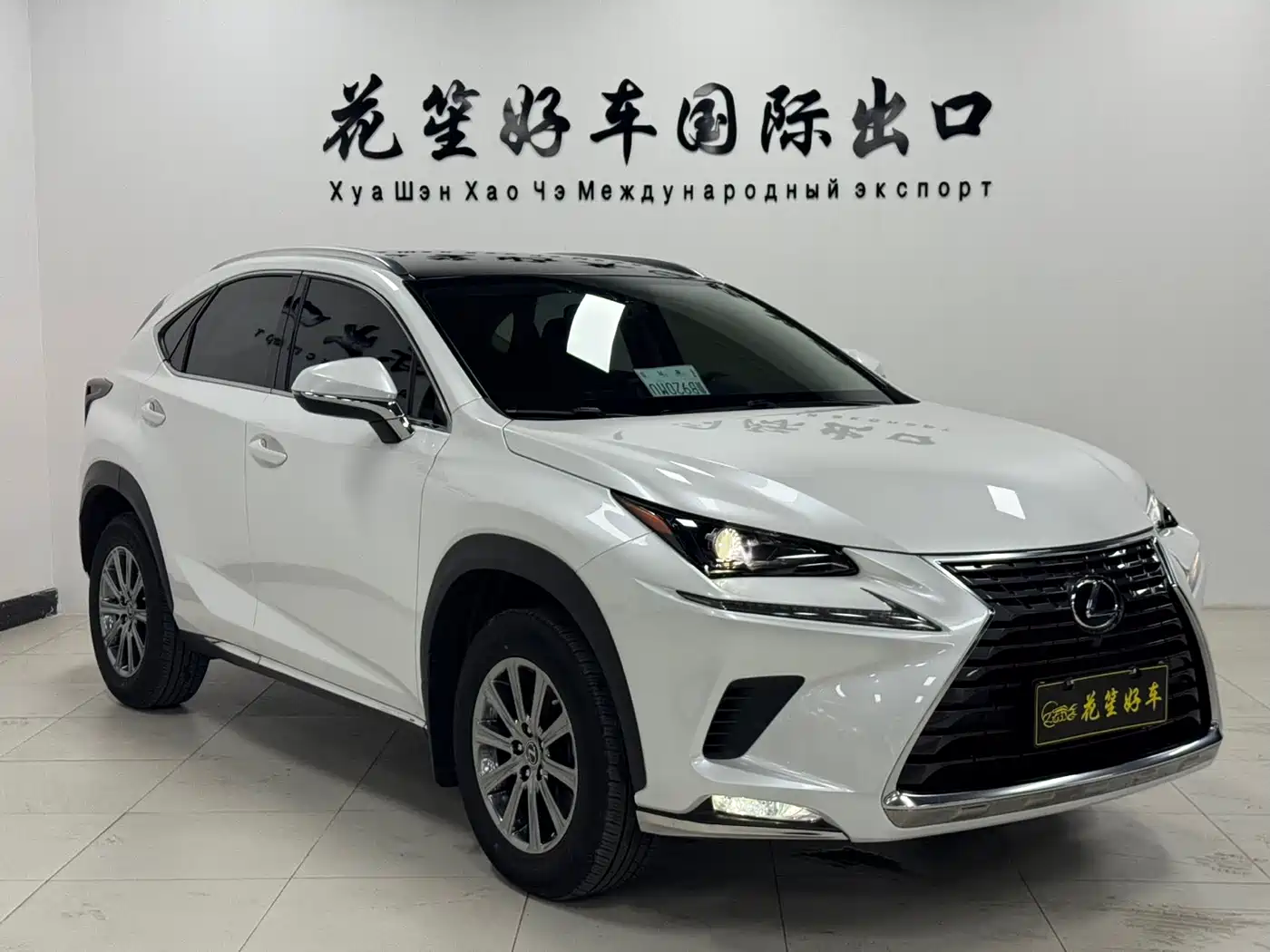 LEXUS NX