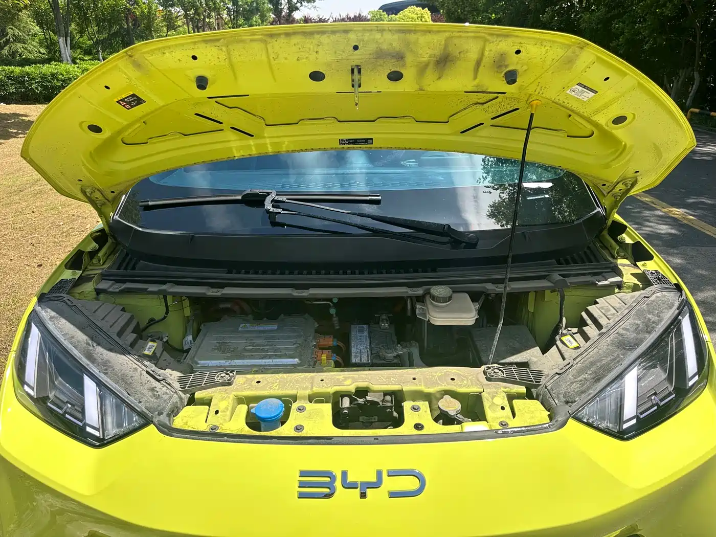 BYD Seagull 2023 Flying Edition фото 11