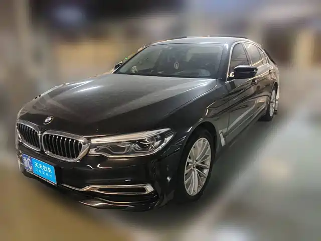 BMW 5 Series 2020 530Li Premium Luxury Package — фото 1
