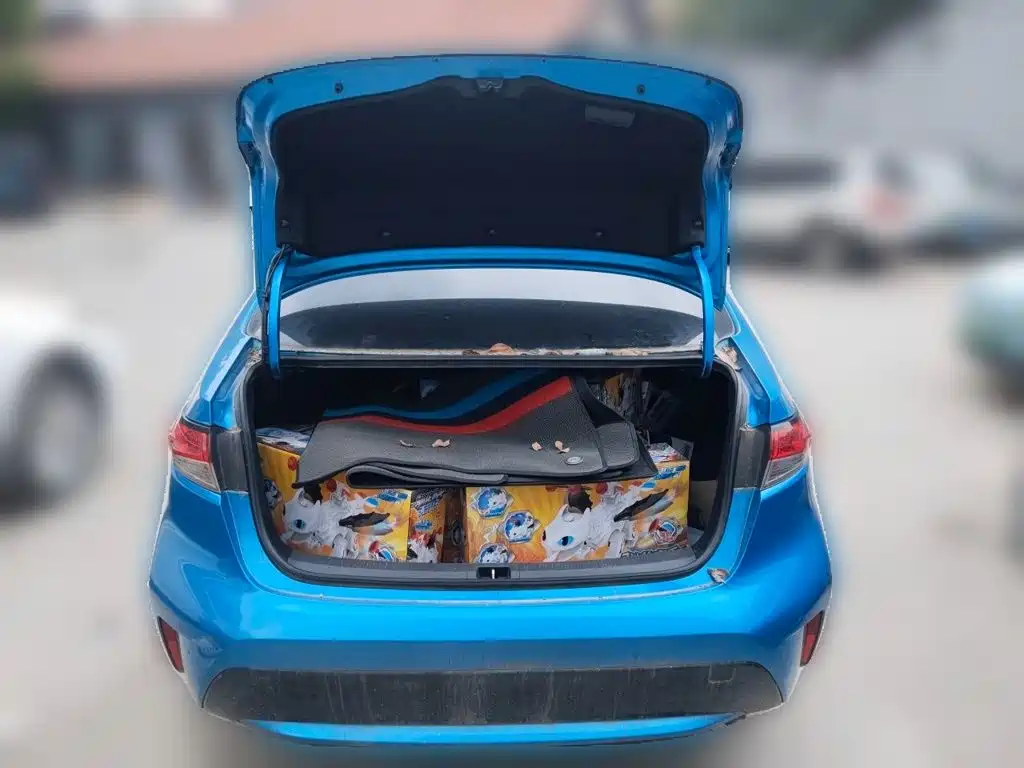 صورة 10 - Toyota Levin