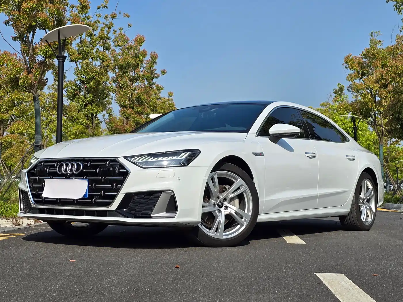 Audi A7L 2024 45TFSI quattro S-line Vision Edition Crystal Package
