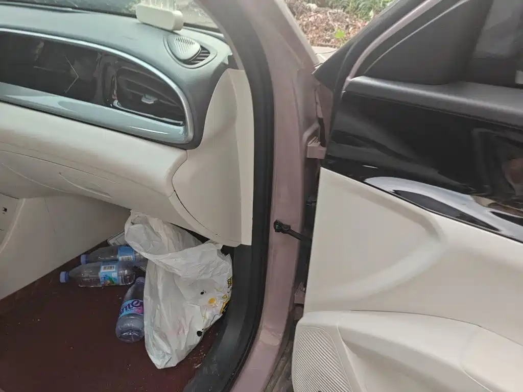 Geely Galaxy Starry Wish 2026 2026 Model 310km Dream Edition