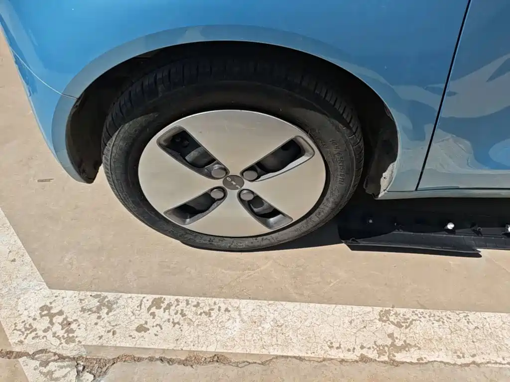 Ora Black Cat 2019 2019 Model 351km Smart Fun Edition