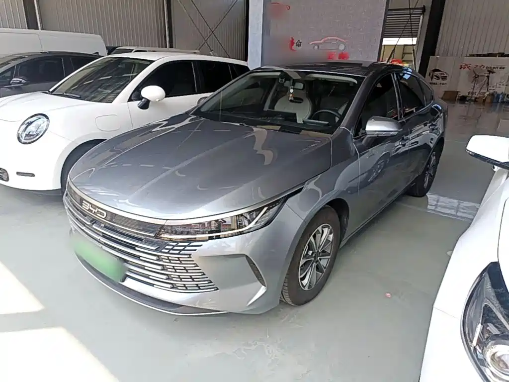 BYD Destroyer 05 2024 Glory Edition DM-i 55KM Luxury
