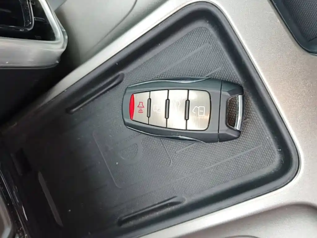 Haval Big Dog 2025 2024 1.5T DCT Border Collie Edition