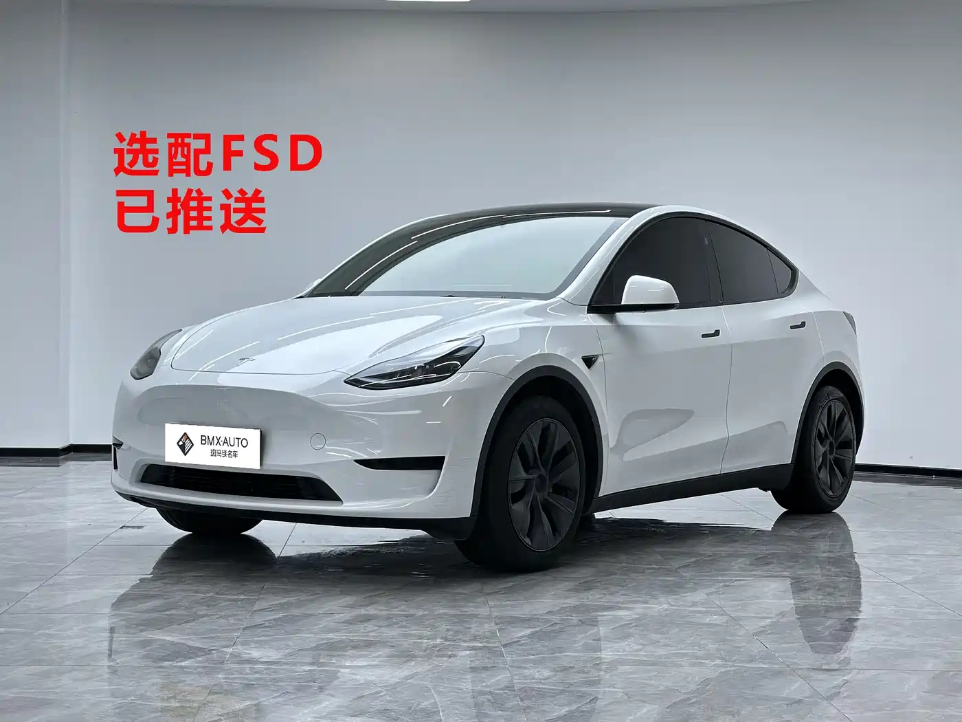 Tesla Model Y 2024 Rear-Wheel Drive Version